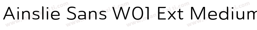 Ainslie Sans W01 Ext Medium字体转换